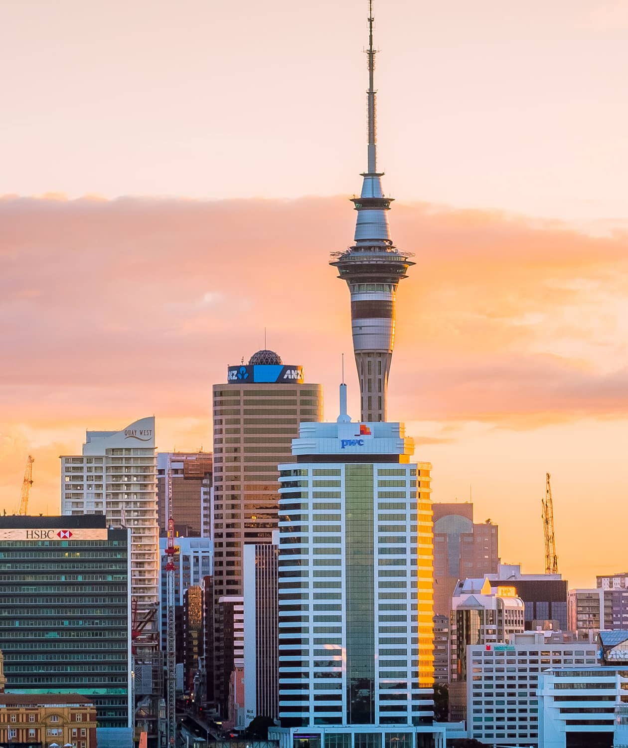 auckland city